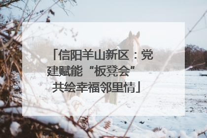 信阳羊山新区：党建赋能“板凳会” 共绘幸福邻里情