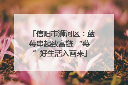 信阳市浉河区：蓝莓串起致富链 “莓”好生活入画来