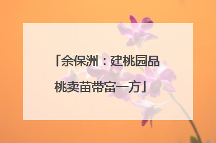 余保洲：建桃园品桃卖苗带富一方