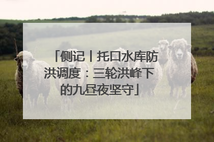 侧记丨托口水库防洪调度：三轮洪峰下的九昼夜坚守