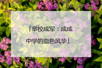 举校成军：成成中学的血色风华