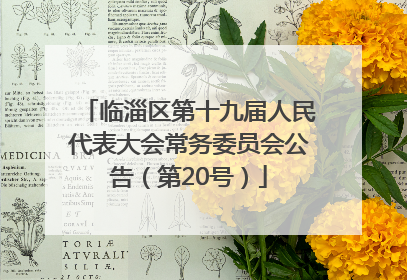 临淄区第十九届人民代表大会常务委员会公告（第20号）