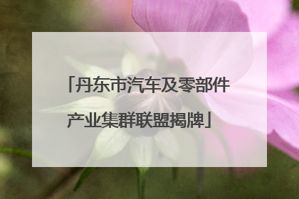 丹东市汽车及零部件产业集群联盟揭牌