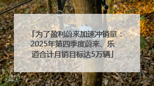 为了盈利蔚来加速冲销量：2025年第四季度蔚来、乐道合计月销目标达5万辆