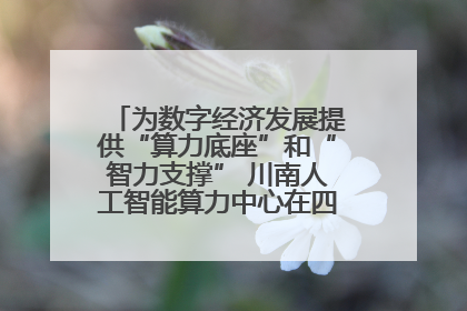 为数字经济发展提供“算力底座”和“智力支撑” 川南人工智能算力中心在四川泸州启动
