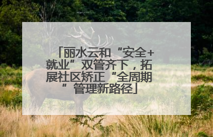 丽水云和“安全+就业”双管齐下，拓展社区矫正“全周期”管理新路径