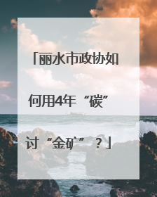 丽水市政协如何用4年“碳”讨“金矿”？