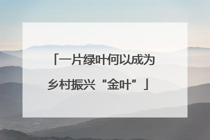 一片绿叶何以成为乡村振兴“金叶”