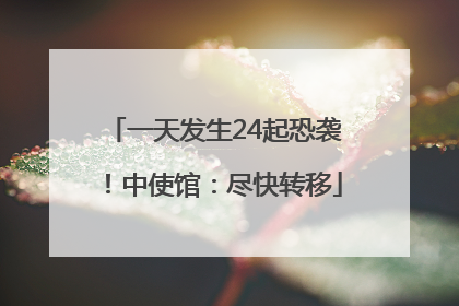 一天发生24起恐袭！中使馆：尽快转移