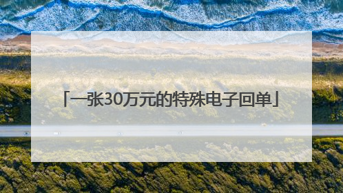 一张30万元的特殊电子回单