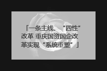 一条主线、“四性”改革 重庆国资国企改革实现“系统重塑”