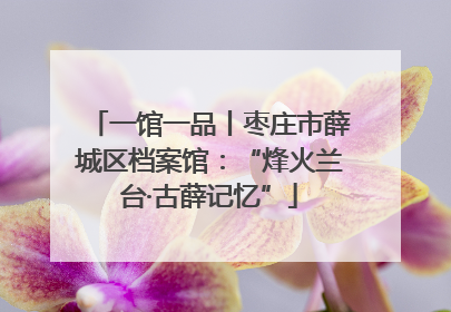 一馆一品丨枣庄市薛城区档案馆：“烽火兰台·古薛记忆”