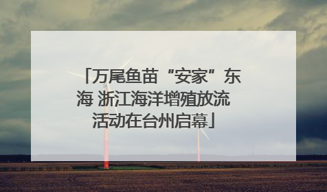 万尾鱼苗“安家”东海 浙江海洋增殖放流活动在台州启幕