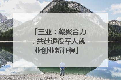 三亚：凝聚合力，共赴退役军人就业创业新征程