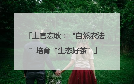 上官宏耿：“自然农法”培育“生态好茶”