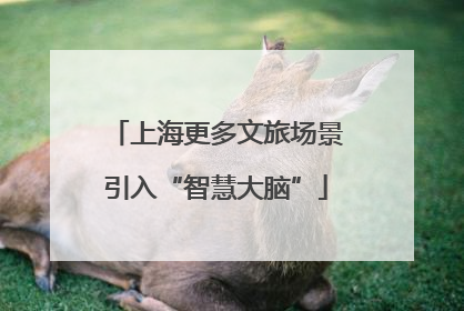 上海更多文旅场景引入“智慧大脑”