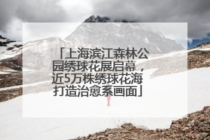 上海滨江森林公园绣球花展启幕，近5万株绣球花海打造治愈系画面