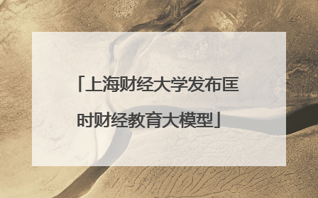 上海财经大学发布匡时财经教育大模型