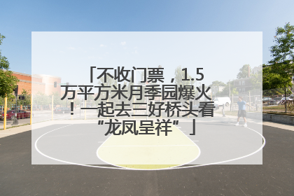 不收门票，1.5万平方米月季园爆火！一起去三好桥头看“龙凤呈祥”