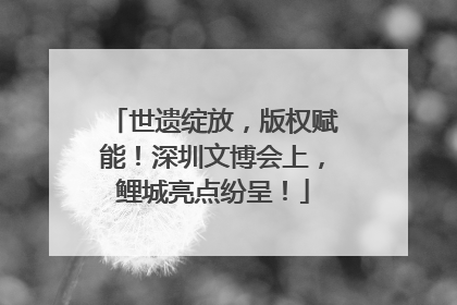 世遗绽放，版权赋能！深圳文博会上，鲤城亮点纷呈！