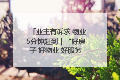 业主有诉求 物业5分钟赶到｜“好房子 好物业 好服务”系列报道④