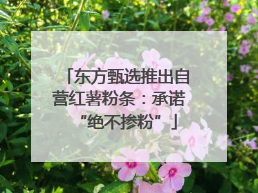 东方甄选推出自营红薯粉条：承诺“绝不掺粉”