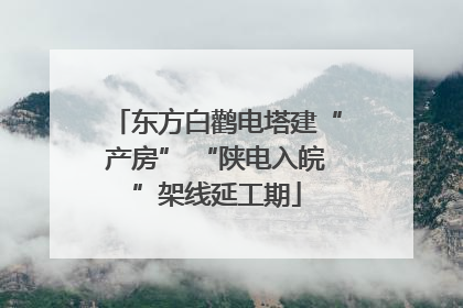 东方白鹳电塔建“产房” “陕电入皖”架线延工期