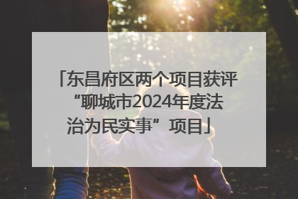 东昌府区两个项目获评“聊城市2024年度法治为民实事”项目
