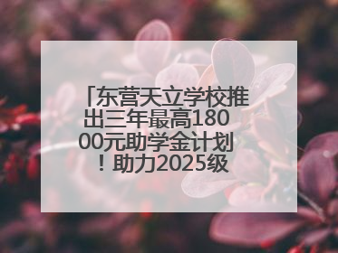 东营天立学校推出三年最高18000元助学金计划！助力2025级新生扬帆起航