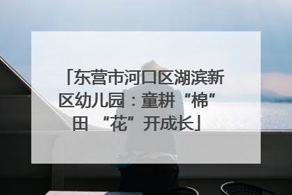 东营市河口区湖滨新区幼儿园：童耕“棉”田 “花”开成长