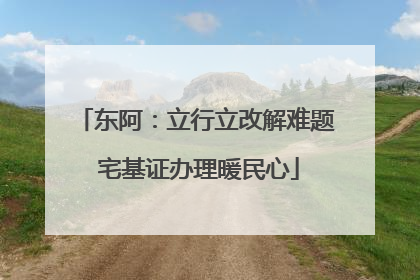 东阿：立行立改解难题 宅基证办理暖民心