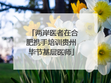 两岸医者在合肥携手培训贵州毕节基层医师