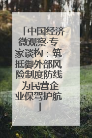 中国经济微观察·专家谈构：筑抵御外部风险制度防线 为民营企业保驾护航