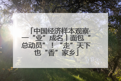中国经济样本观察·一“业”成名丨面包“总动员”！“走”天下也“香”家乡