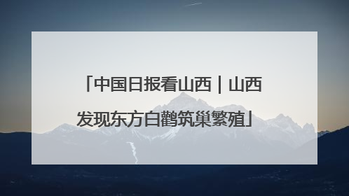 中国日报看山西｜山西发现东方白鹳筑巢繁殖