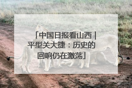 中国日报看山西｜平型关大捷：历史的回响仍在激荡