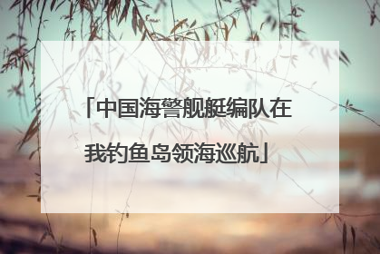 中国海警舰艇编队在我钓鱼岛领海巡航