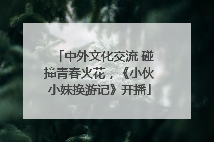 中外文化交流 碰撞青春火花，《小伙小妹换游记》开播