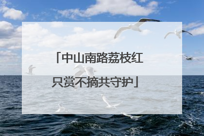 中山南路荔枝红 只赏不摘共守护