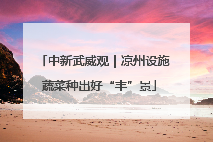 中新武威观｜凉州设施蔬菜种出好“丰”景