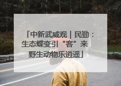 中新武威观｜民勤：生态蝶变引“客”来 野生动物乐逍遥