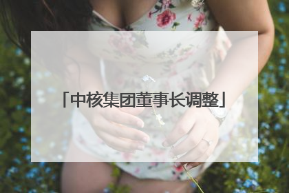 中核集团董事长调整