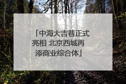 中海大吉巷正式亮相 北京西城再添商业综合体