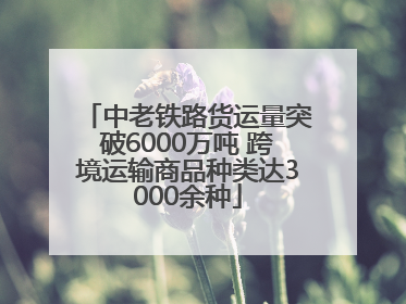 中老铁路货运量突破6000万吨 跨境运输商品种类达3000余种