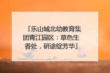 乐山城北幼教育集团青江园区：草色生香处，研途绽芳华
