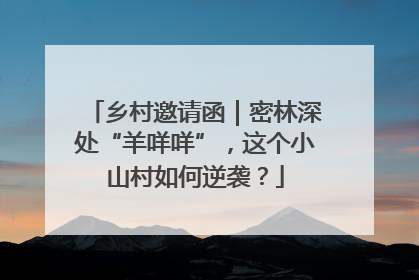 乡村邀请函｜密林深处“羊咩咩”，这个小山村如何逆袭？
