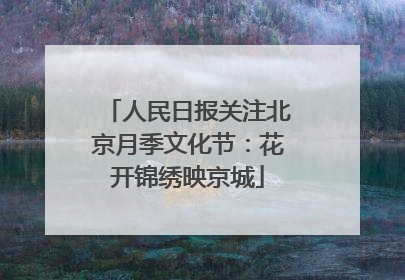 人民日报关注北京月季文化节：花开锦绣映京城