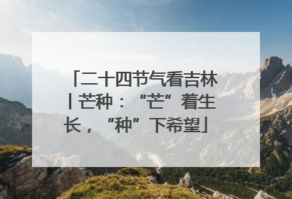 二十四节气看吉林丨芒种：“芒”着生长，“种”下希望