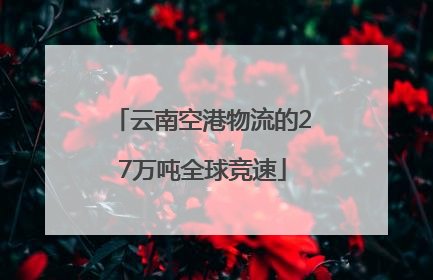 云南空港物流的27万吨全球竞速