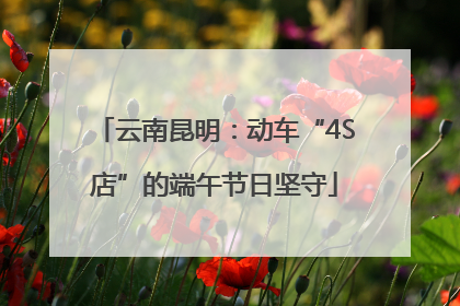 云南昆明：动车“4S店”的端午节日坚守